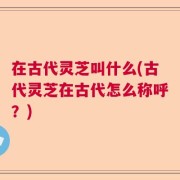 在古代灵芝叫什么(古代灵芝在古代怎么称呼？)