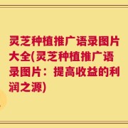 灵芝种植推广语录图片大全(灵芝种植推广语录图片：提高收益的利润之源)