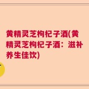 黄精灵芝枸杞子酒(黄精灵芝枸杞子酒：滋补养生佳饮)