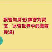 飘雪刘灵芝(飘雪刘灵芝：冰雪世界中的美丽传说)