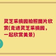 灵芝采摘园拍照图片欣赏(走进灵芝采摘园，一起欣赏美景)