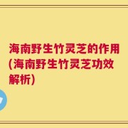 海南野生竹灵芝的作用(海南野生竹灵芝功效解析)