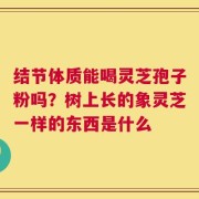结节体质能喝灵芝孢子粉吗？树上长的象灵芝一样的东西是什么