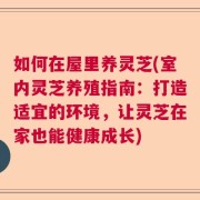 如何在屋里养灵芝(室内灵芝养殖指南：打造适宜的环境，让灵芝在家也能健康成长)