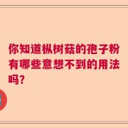 你知道枞树菇的孢子粉有哪些意想不到的用法吗？