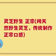 灵芝野生 正宗(纯天然野生灵芝，传统制作正宗口感)