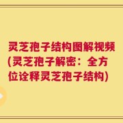 灵芝孢子结构图解视频(灵芝孢子解密：全方位诠释灵芝孢子结构)