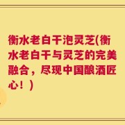 衡水老白干泡灵芝(衡水老白干与灵芝的完美融合，尽现中国酿酒匠心！)
