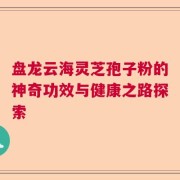 盘龙云海灵芝孢子粉的神奇功效与健康之路探索