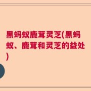 黑蚂蚁鹿茸灵芝(黑蚂蚁、鹿茸和灵芝的益处)