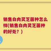 销售白肉灵芝菌种怎么样(销售白肉灵芝菌种的好处？)