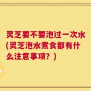 灵芝要不要泡过一次水(灵芝泡水煮食都有什么注意事项？)