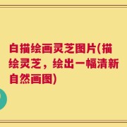 白描绘画灵芝图片(描绘灵芝，绘出一幅清新自然画图)