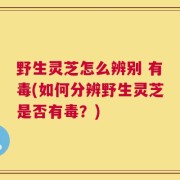 野生灵芝怎么辨别 有毒(如何分辨野生灵芝是否有毒？)