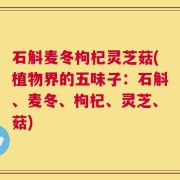 石斛麦冬枸杞灵芝菇(植物界的五味子：石斛、麦冬、枸杞、灵芝、菇)