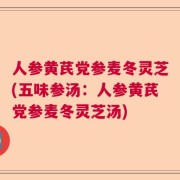 人参黄芪党参麦冬灵芝(五味参汤：人参黄芪党参麦冬灵芝汤)