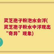 灵芝孢子粉泡水会浮(灵芝孢子粉水中浮现出“奇异”现象)