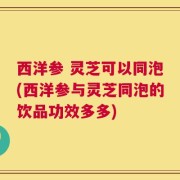 西洋参 灵芝可以同泡(西洋参与灵芝同泡的饮品功效多多)