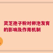 灵芝孢子粉对卵泡发育的影响及作用机制