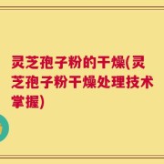 灵芝孢子粉的干燥(灵芝孢子粉干燥处理技术掌握)