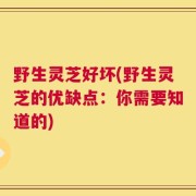 野生灵芝好坏(野生灵芝的优缺点：你需要知道的)