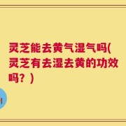 灵芝能去黄气湿气吗(灵芝有去湿去黄的功效吗？)