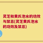 灵芝和黄氏泡水的功效与禁忌(灵芝黄氏泡水的功效及禁忌)