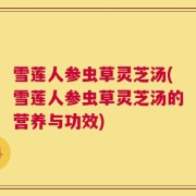 雪莲人参虫草灵芝汤(雪莲人参虫草灵芝汤的营养与功效)