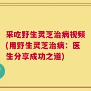 采吃野生灵芝治病视频(用野生灵芝治病：医生分享成功之道)