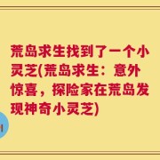 荒岛求生找到了一个小灵芝(荒岛求生：意外惊喜，探险家在荒岛发现神奇小灵芝)