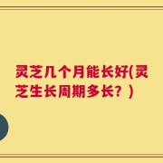 灵芝几个月能长好(灵芝生长周期多长？)