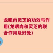 龙眼肉灵芝的功效与作用(龙眼肉和灵芝的联合作用及好处)