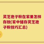 灵芝孢子粉在家里怎样存放(家中储存灵芝孢子粉技巧汇总)