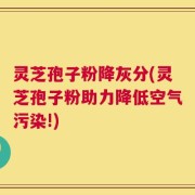 灵芝孢子粉降灰分(灵芝孢子粉助力降低空气污染!)