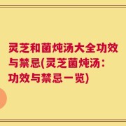 灵芝和菌炖汤大全功效与禁忌(灵芝菌炖汤：功效与禁忌一览)