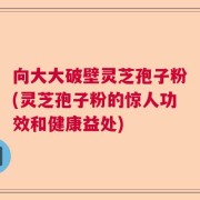 向大大破壁灵芝孢子粉(灵芝孢子粉的惊人功效和健康益处)