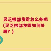 灵芝根部发霉怎么办呢(灵芝根部发霉如何处理？)
