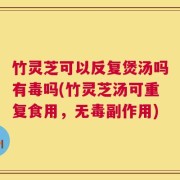 竹灵芝可以反复煲汤吗有毒吗(竹灵芝汤可重复食用，无毒副作用)