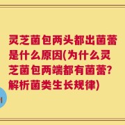 灵芝菌包两头都出菌蕾是什么原因(为什么灵芝菌包两端都有菌蕾？解析菌类生长规律)
