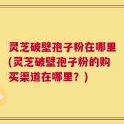 灵芝破壁孢子粉在哪里(灵芝破壁孢子粉的购买渠道在哪里？)