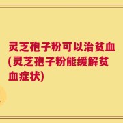 灵芝孢子粉可以治贫血(灵芝孢子粉能缓解贫血症状)