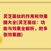 灵芝菌丝的作用和效果图大全(灵芝菌丝：功能与效果全解析，附多张效果图)