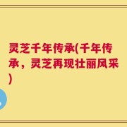 灵芝千年传承(千年传承，灵芝再现壮丽风采)