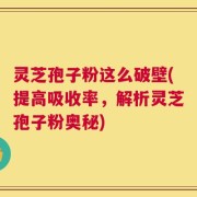 灵芝孢子粉这么破壁(提高吸收率，解析灵芝孢子粉奥秘)