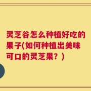 灵芝谷怎么种植好吃的果子(如何种植出美味可口的灵芝果？)