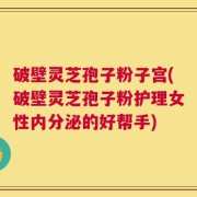 破壁灵芝孢子粉子宫(破壁灵芝孢子粉护理女性内分泌的好帮手)