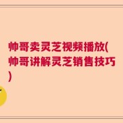 帅哥卖灵芝视频播放(帅哥讲解灵芝销售技巧)