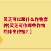 灵芝可以跟什么作物套种(灵芝可作哪些作物的伴生种植？)