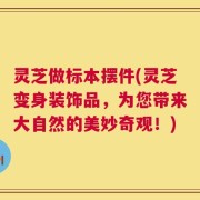 灵芝做标本摆件(灵芝变身装饰品，为您带来大自然的美妙奇观！)