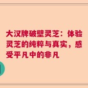 大汉牌破壁灵芝：体验灵芝的纯粹与真实，感受平凡中的非凡